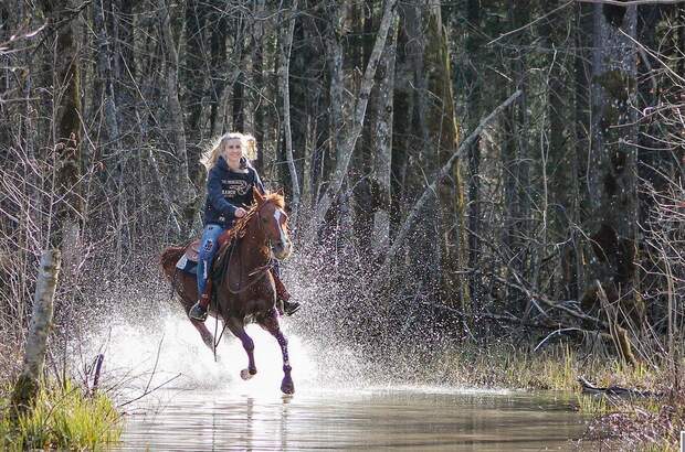 Gewerbeobjekt kaufen in 5224 Auerbach