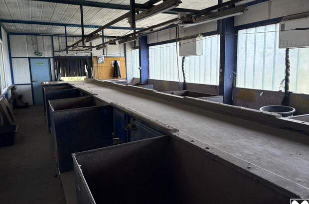 Gewerbeobjekt mieten in 7012 Zagersdorf (Bild 4)