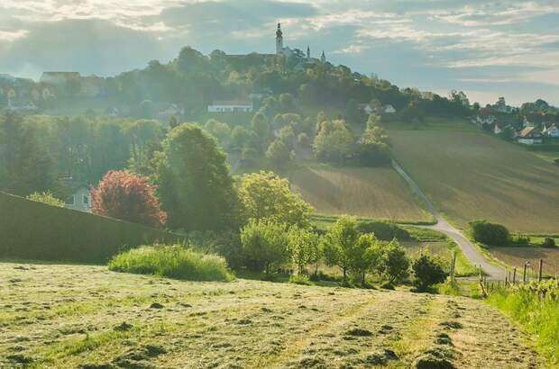 Grundstück kaufen in 8345 Straden (Bild 1)