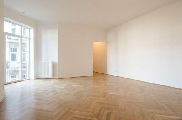 Altbauwohnung mit Balkon mieten in 1190 Wien (Bild 2)