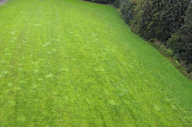 Grundstück kaufen in 8334 Riegersburg (Bild 1)