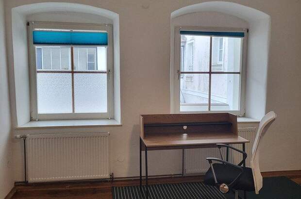 Terrassenwohnung mieten in 3500 Krems (Bild 4)