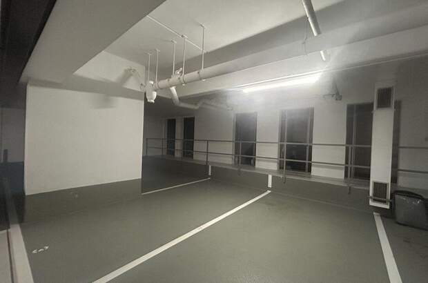 Immobilie mieten in 1190 Wien (Bild 1)