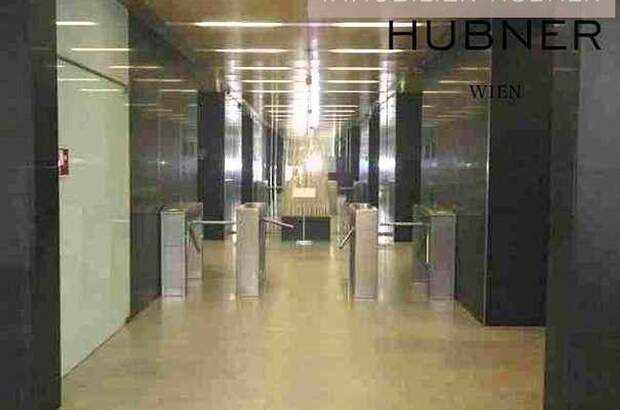 Gewerbeobjekt mieten in 1220 Wien (Bild 3)