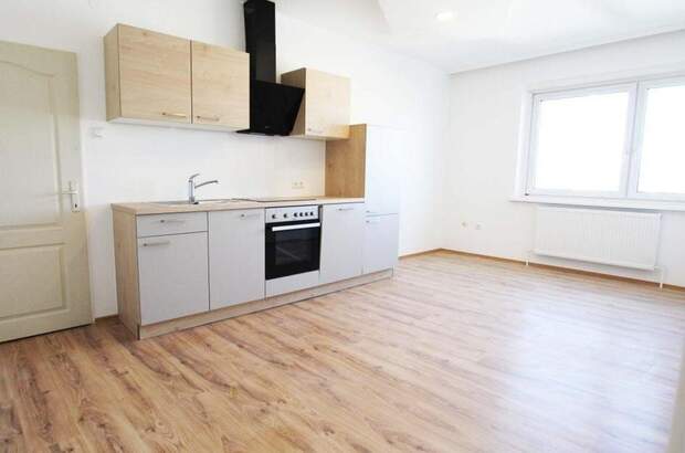 Eigentumswohnung in 4600 Wels (Bild 1)