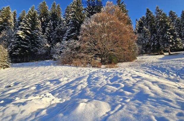 Grundstück kaufen in 6311 Oberau (Bild 4)