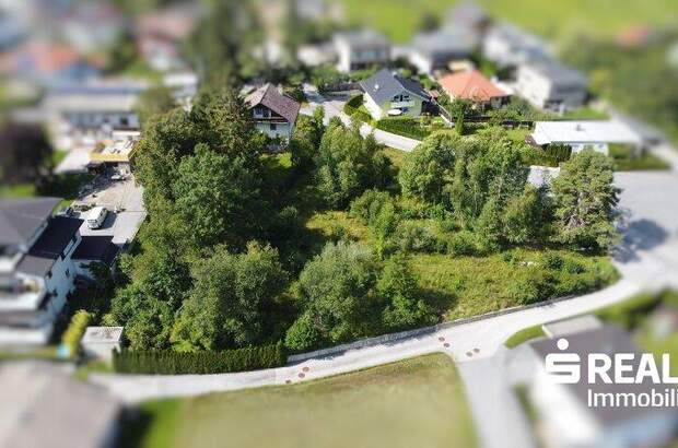 Grundstück kaufen in 6416 Obsteig (Bild 2)