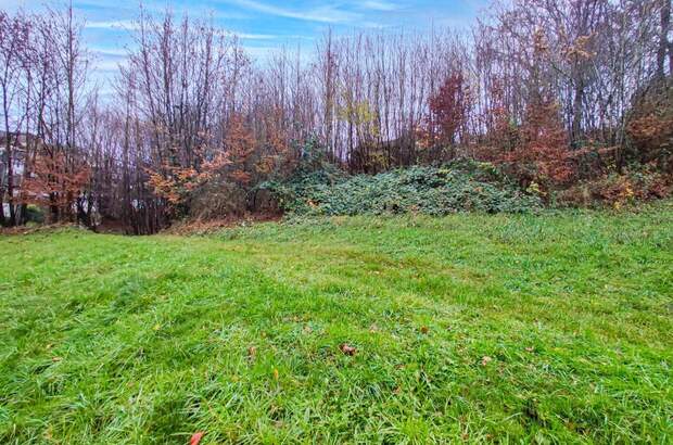 Grundstück kaufen in 4650 Lambach (Bild 4)