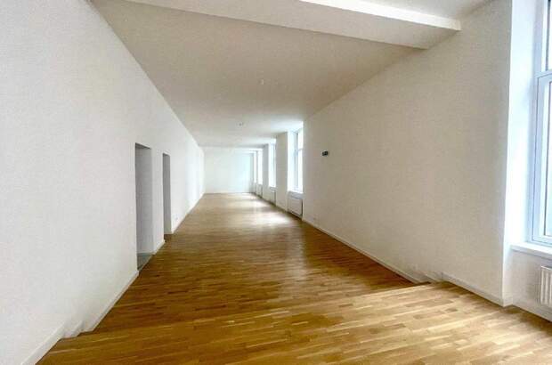 Gewerbeobjekt mieten in 1090 Wien (Bild 4)