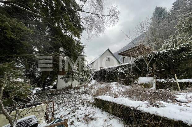 Grundstück kaufen in 2754 Waldegg (Bild 5)