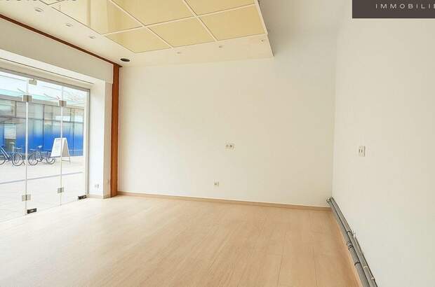 Gewerbeobjekt mieten in 2700 Wiener Neustadt (Bild 2)
