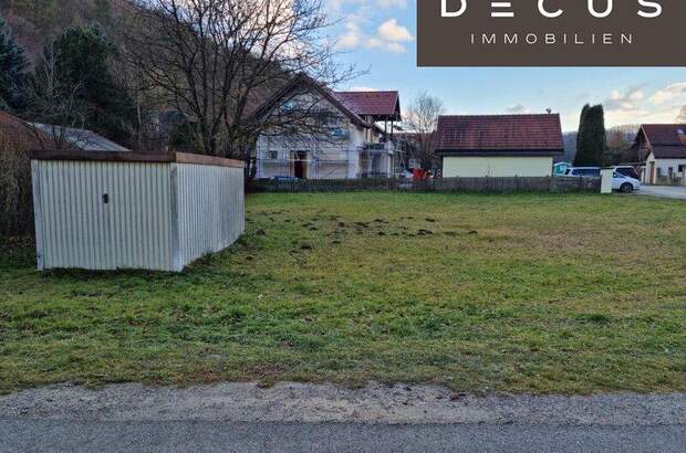 Grundstück kaufen in 2392 Grub (Bild 3)