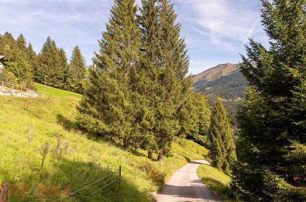 Grundstück kaufen in 6850 Dornbirn (Bild 5)