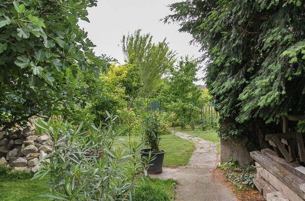 Haus mit Garten kaufen in 7092 Winden (Bild 5)