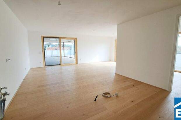 Terrassenwohnung kaufen in 7100 Neusiedl (Bild 2)