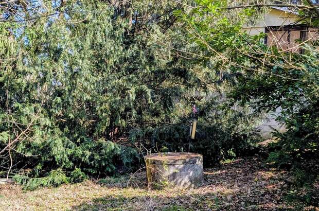 Grundstück kaufen in 3012 Wolfsgraben (Bild 4)