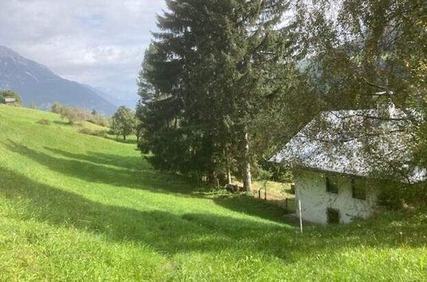 Gewerbeobjekt kaufen in 6471 Arzl (Bild 4)