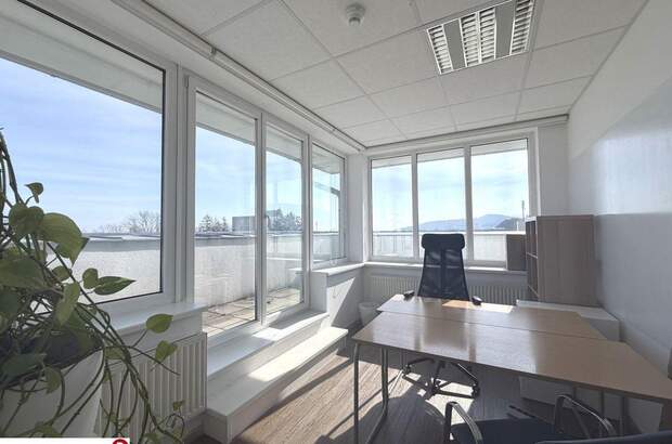 Gewerbeobjekt mieten in 2340 Mödling (Bild 2)