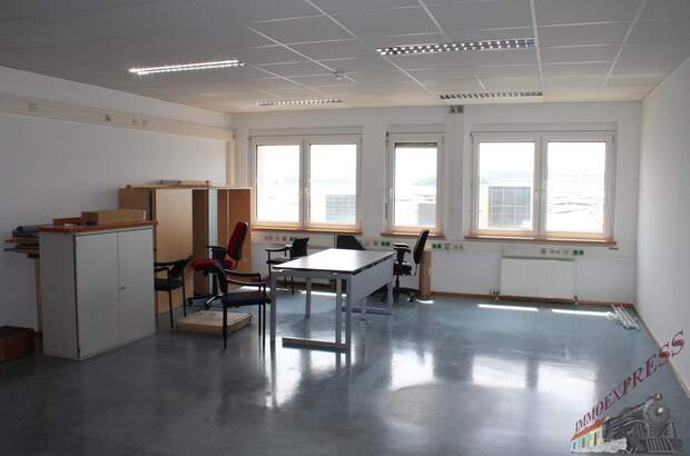 Büro / Praxis mieten in 2351 Wr. Neudorf (Bild 2)