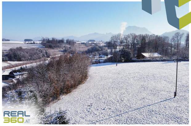 Grundstück kaufen in 4812 Pinsdorf (Bild 5)