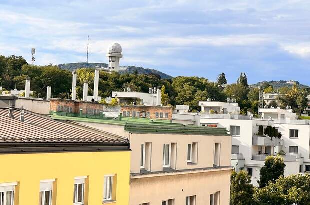 Wohnung mieten in 1190 Wien (Bild 3)