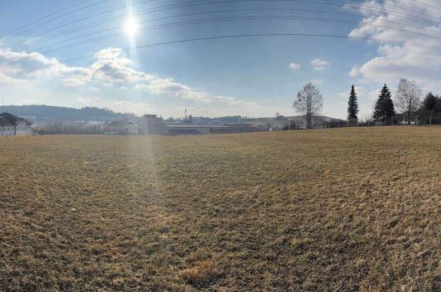 Gewerbeobjekt kaufen in 4150 Rohrbach (Bild 4)