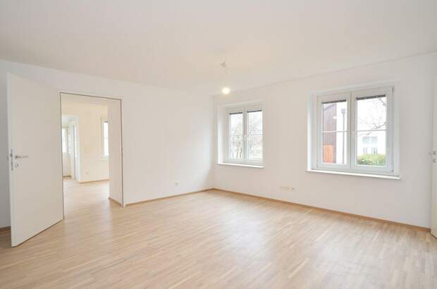 Altbauwohnung mieten in 2380 Perchtoldsdorf (Bild 1)