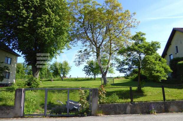 Grundstück kaufen in 4600 Wels (Bild 4)