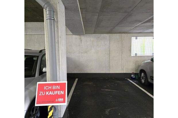 Halle / Lager / Produktion kaufen in 4222 Sankt Georgen (Bild 1)