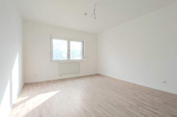 Wohnung mieten in 2522 Oberwaltersdorf (Bild 3)