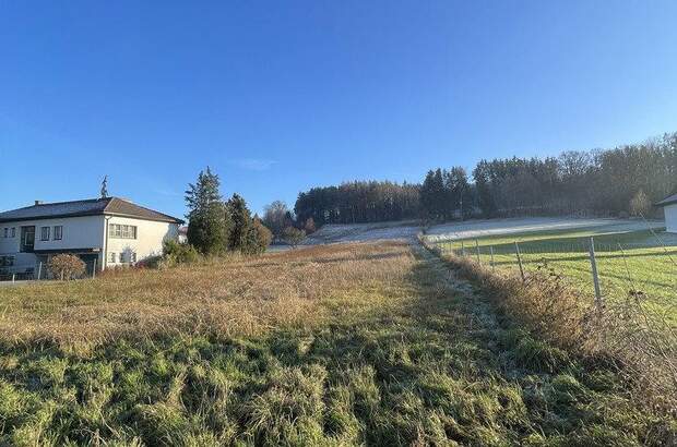 Grundstück kaufen in 4943 Geinberg (Bild 2)
