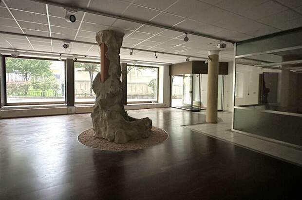 Gewerbeobjekt mieten in 1060 Wien (Bild 4)