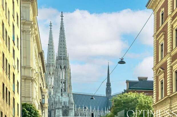 Altbauwohnung kaufen in 1090 Wien (Bild 1)