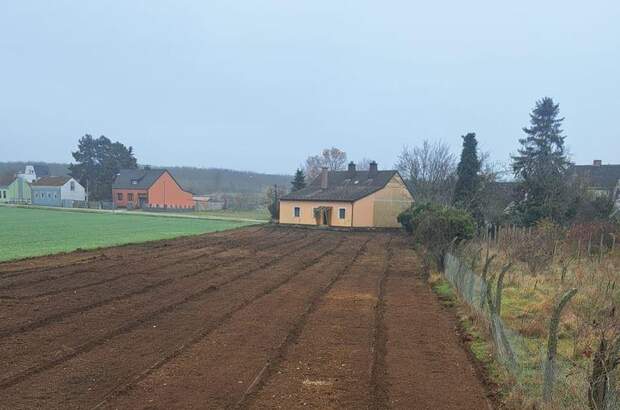 Einfamilienhaus kaufen in 2294 Marchegg (Bild 5)