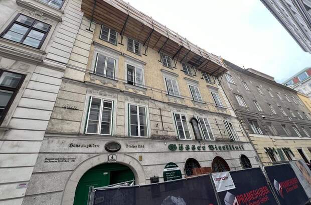 Gewerbeobjekt mieten in 1010 Wien (Bild 2)