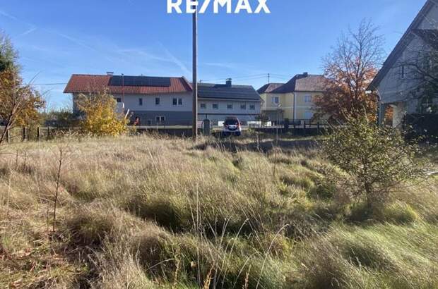 Grundstück kaufen in 4470 Enns (Bild 4)