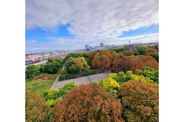 Wohnung kaufen in 1100 Wien (Bild 4)