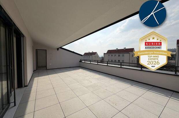 Terrassenwohnung kaufen in 3500 Krems (Bild 4)