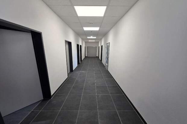 Gewerbeobjekt mieten in 2431 Enzersdorf (Bild 4)