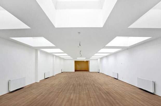 Gewerbeobjekt mieten in 1090 Wien (Bild 4)
