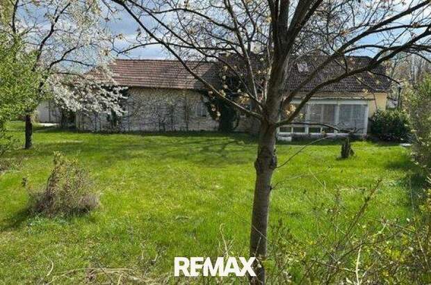 Einfamilienhaus kaufen in 2351 Wr. Neudorf (Bild 4)