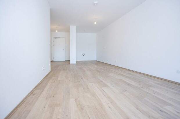 Terrassenwohnung kaufen in 2700 Wr. Neustadt (Bild 5)