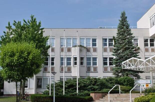 Gewerbeobjekt mieten in 1230 Wien (Bild 3)