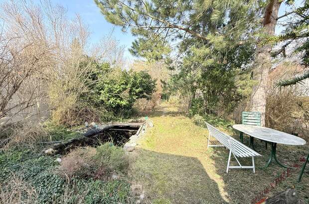 Einfamilienhaus kaufen in 2512 Tribuswinkel (Bild 3)