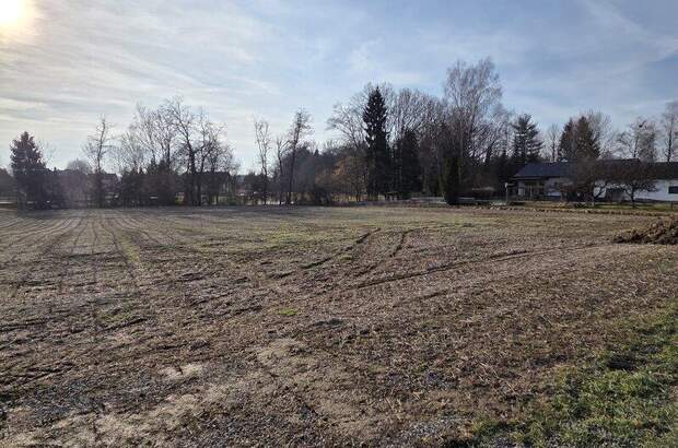 Grundstück kaufen in 8483 Deutsch Goritz (Bild 1)