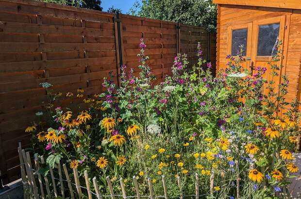Haus mit Garten kaufen in 2211 Pillichsdorf (Bild 3)