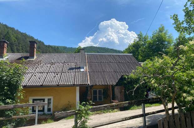 Altbauwohnung mieten in 3161 Wiesenbach (Bild 4)