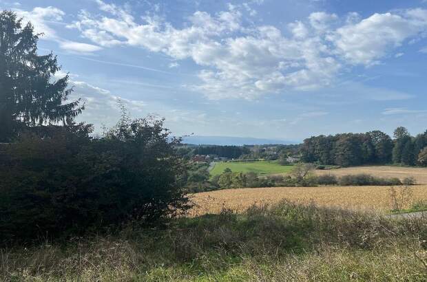 Grundstück kaufen in 8410 Allerheiligen (Bild 3)