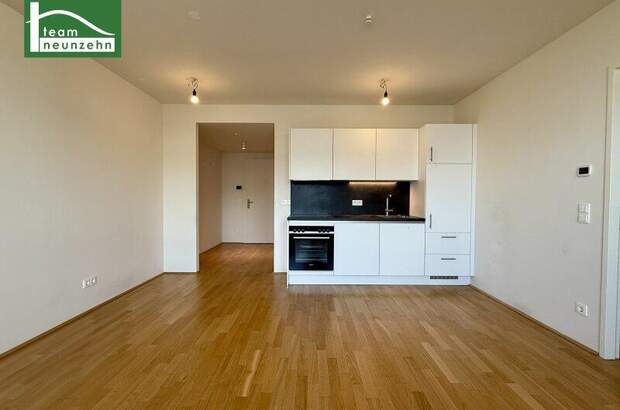 Terrassenwohnung mieten in 1100 Wien (Bild 2)