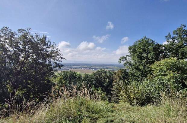 Grundstück kaufen in 4101 Feldkirchen (Bild 1)